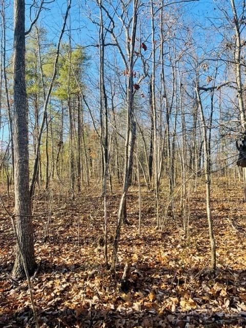 3774 Rhoney Farm Rd, Vale, NC 28168