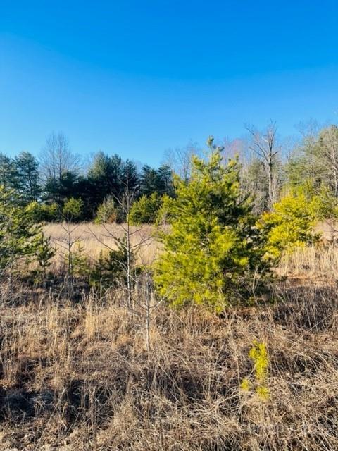 3774 Rhoney Farm Rd, Vale, NC 28168
