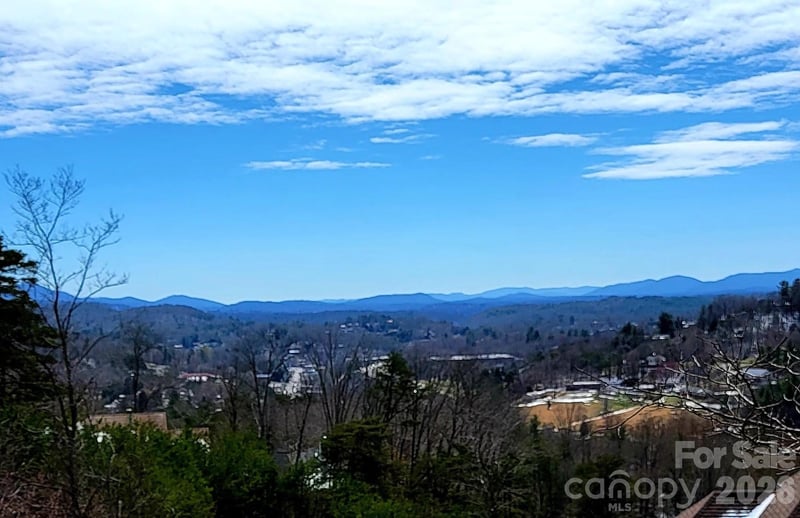 8 English Hills Dr, Asheville, NC 28804