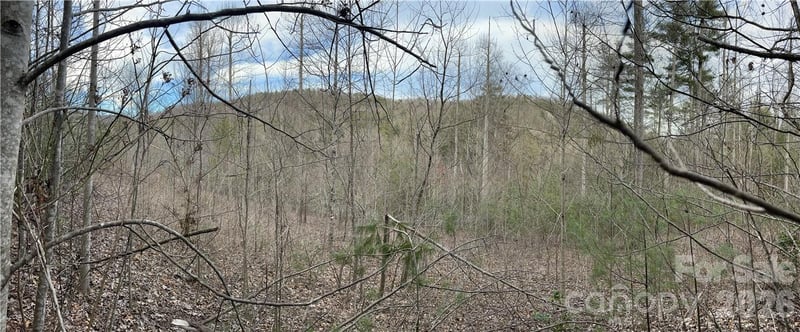 55 Boone Cove Rd #71, Zirconia, NC 28790