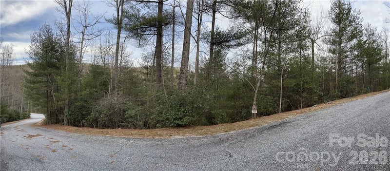 55 Boone Cove Rd #71, Zirconia, NC 28790