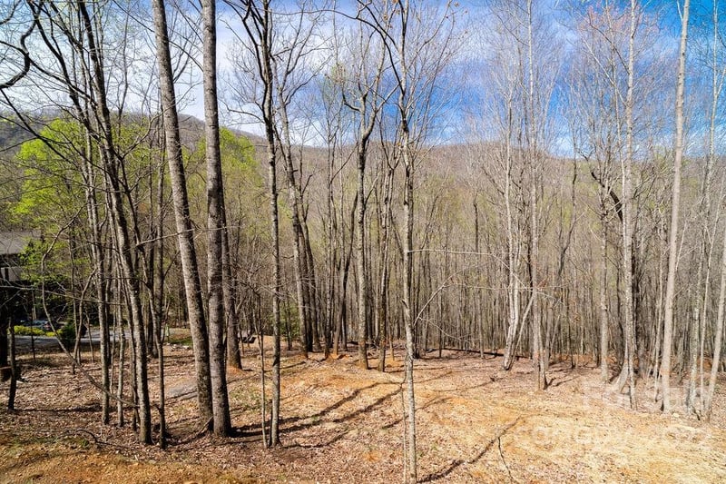 808 Stoney Stream Ln, Arden, NC 28704