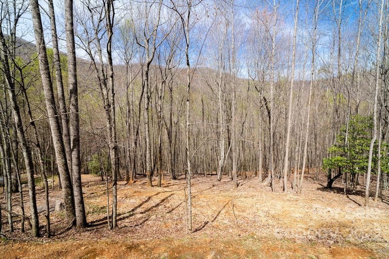 808 Stoney Stream Ln, Arden, NC 28704