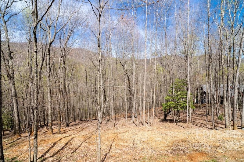 808 Stoney Stream Ln, Arden, NC 28704