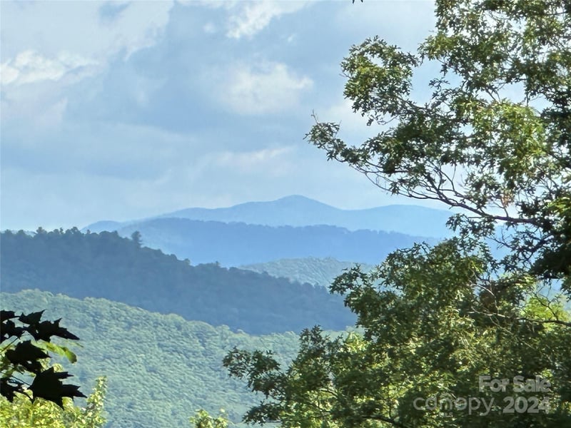 79 Peppervine Cir #L79, Rosman, NC 28772