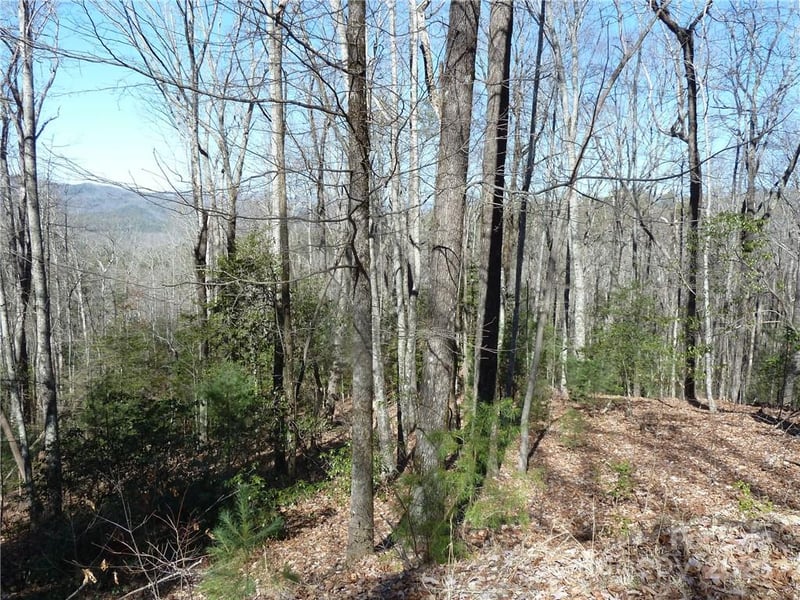 79 Peppervine Cir #L79, Rosman, NC 28772
