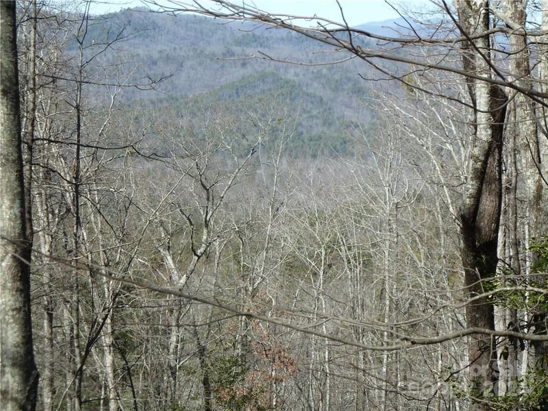 79 Peppervine Cir #L79, Rosman, NC 28772