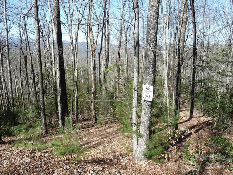 79 Peppervine Cir #L79, Rosman, NC 28772