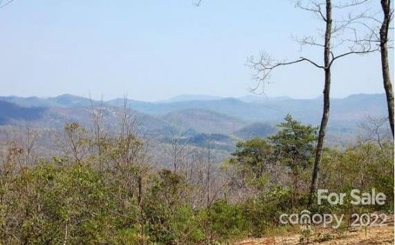 Lot 361 Hickory Nut Ln, Lake Lure, NC 28746
