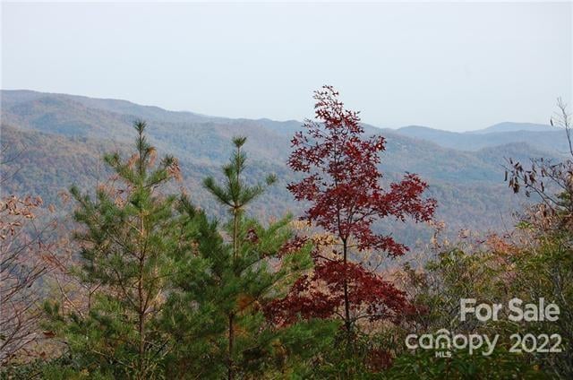 Lot 361 Hickory Nut Ln, Lake Lure, NC 28746