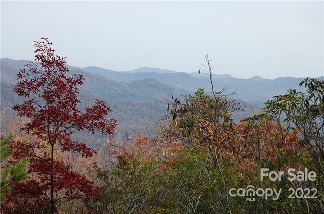 Lot 361 Hickory Nut Ln, Lake Lure, NC 28746