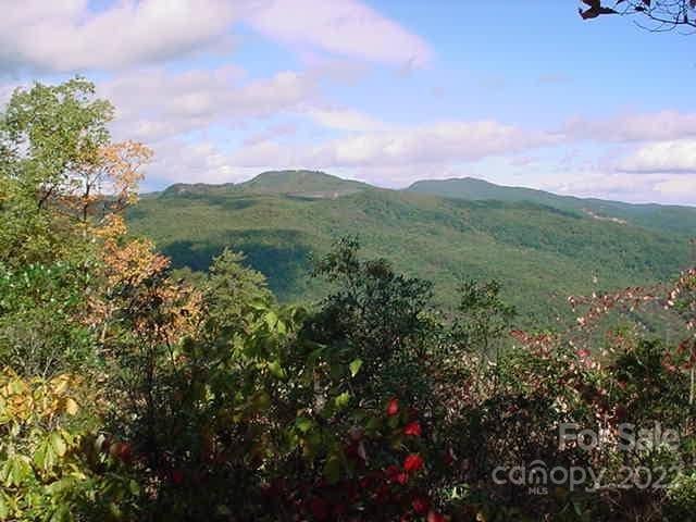 Lot 361 Hickory Nut Ln, Lake Lure, NC 28746