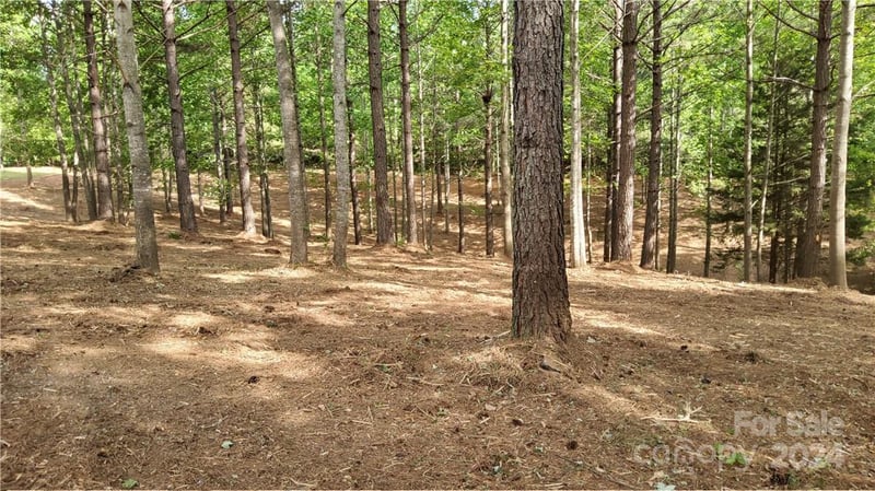 Hearthstone Dr #2, Union Mills, NC 28167