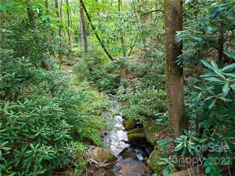 LOT 2072 Anthony Ct, Mill Spring, NC 28756