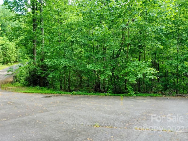 LOT 2072 Anthony Ct, Mill Spring, NC 28756