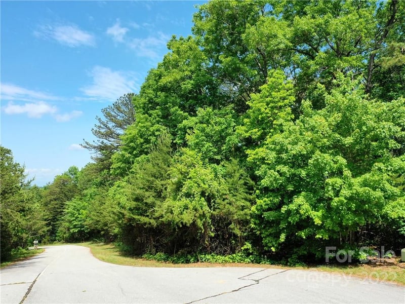 LOT 295 Eastman Pl, Mill Spring, NC 28756