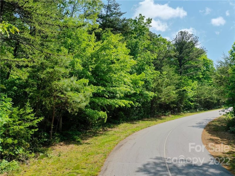 LOT 295 Eastman Pl, Mill Spring, NC 28756
