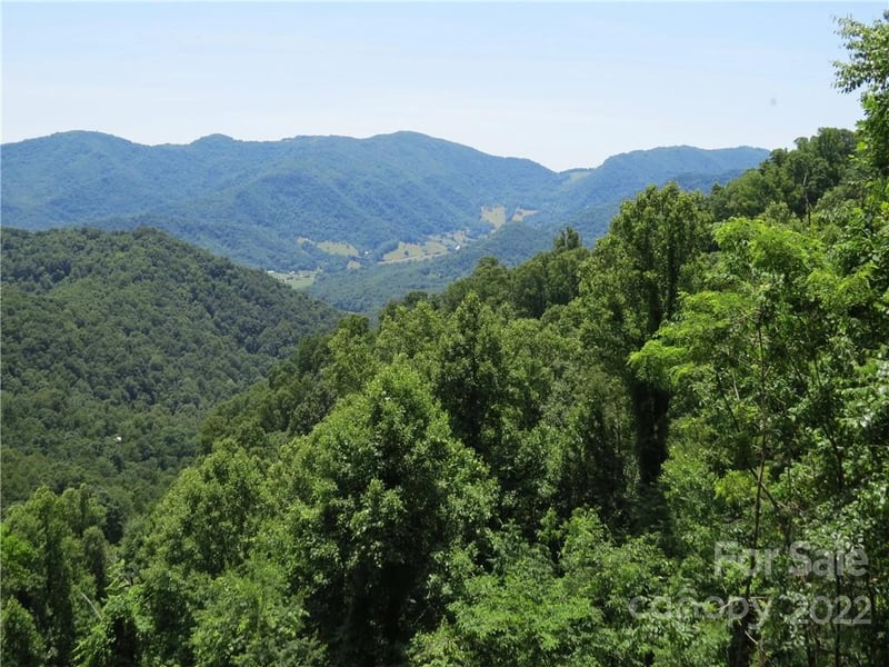 492 Freemont Dr #77, Leicester, NC 28748