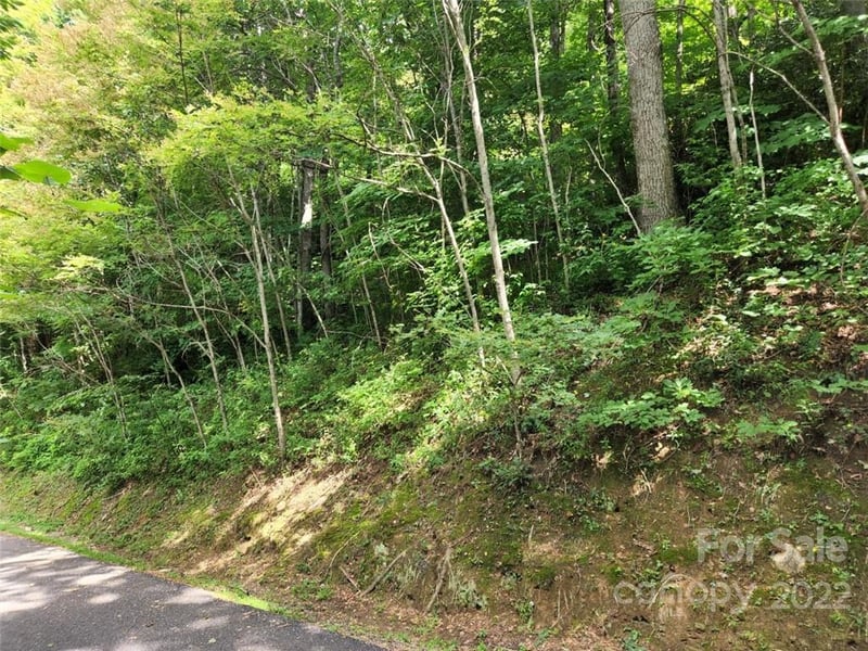 00 Heavenview Point #120, Maggie Valley, NC 28751