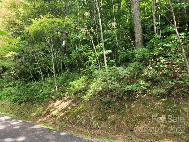 00 Heavenview Point #120, Maggie Valley, NC 28751