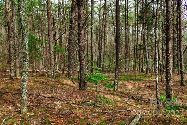 Westridge Dr #87, Lake Lure, NC 28746