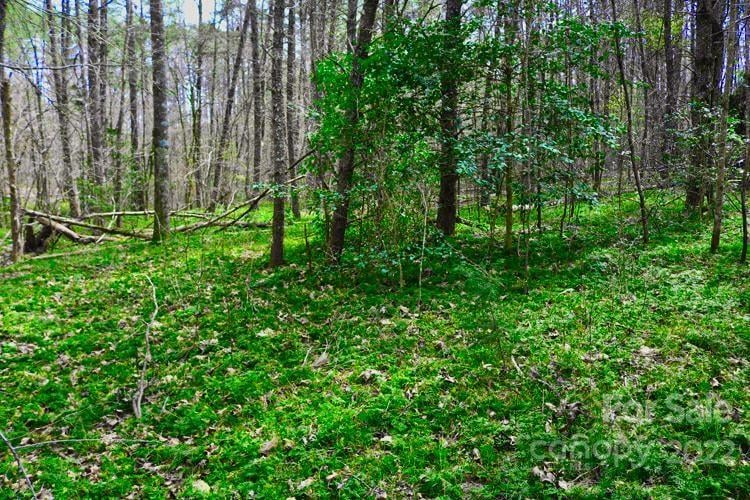 Westridge Dr #87, Lake Lure, NC 28746