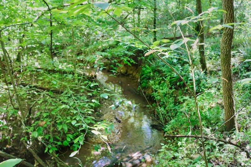 Woodstock Ln #166, Rutherfordton, NC 28139