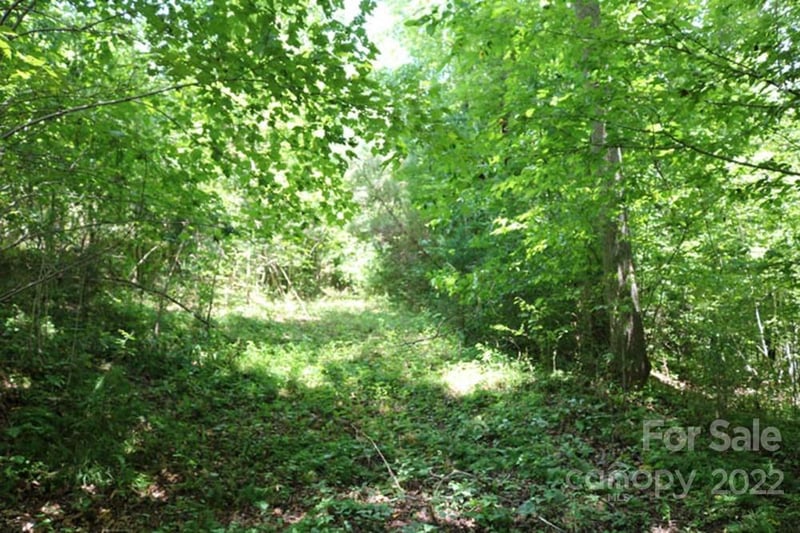 Woodstock Ln #166, Rutherfordton, NC 28139