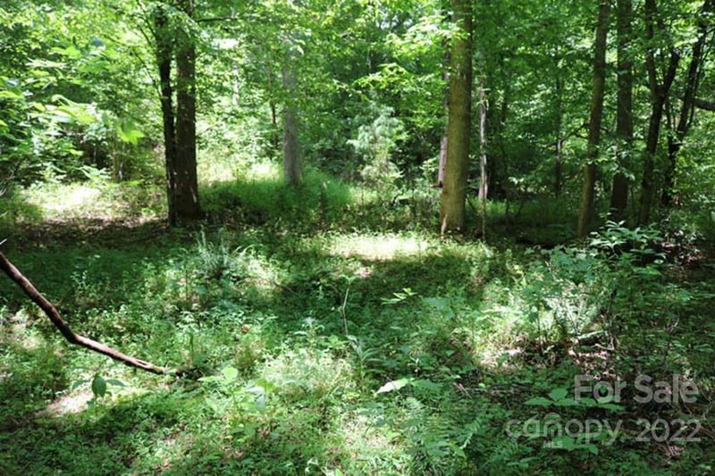 Woodstock Ln #166, Rutherfordton, NC 28139