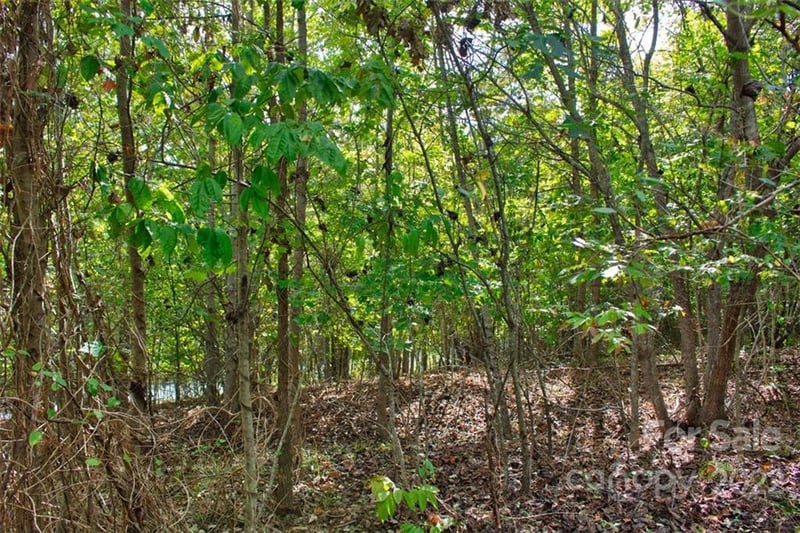 Chimney Creek Ln #194, Rutherfordton, NC 28139