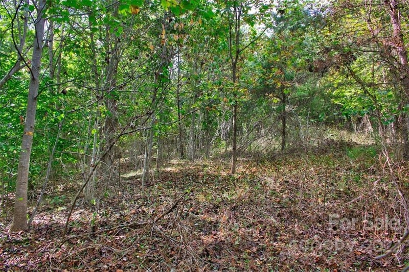 Chimney Creek Ln #194, Rutherfordton, NC 28139