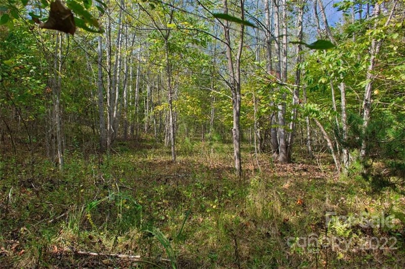 Chimney Creek Ln #194, Rutherfordton, NC 28139