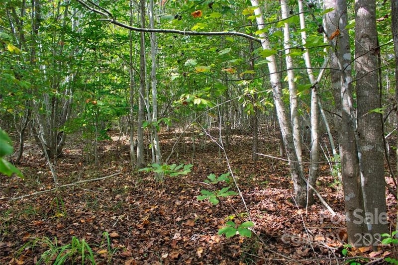 Chimney Creek Ln #194, Rutherfordton, NC 28139
