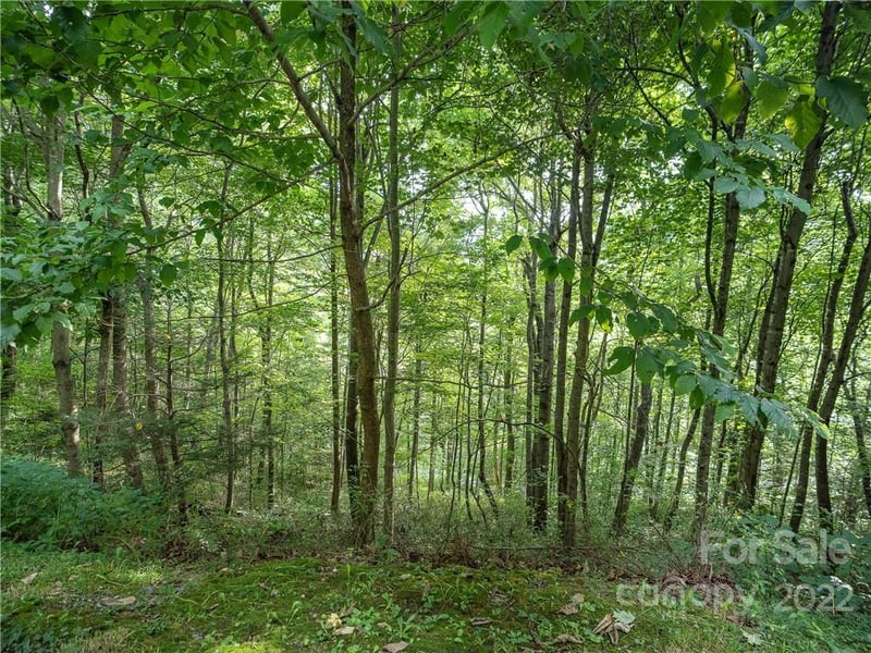 00 Ironwood Ln #12, Maggie Valley, NC 28751