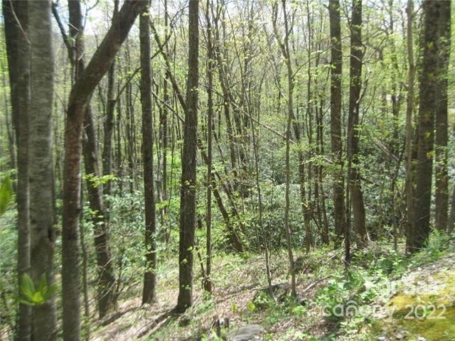 23 Wood Haven Ln #113, Black Mountain, NC 28711