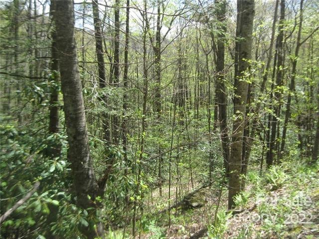 23 Wood Haven Ln #113, Black Mountain, NC 28711