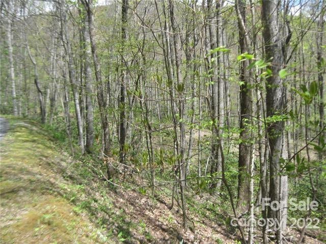 23 Wood Haven Ln #113, Black Mountain, NC 28711