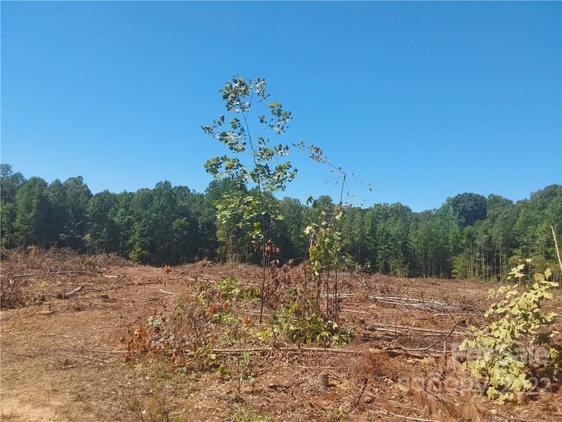 00 Requa Rd, Cherryville, NC 28021