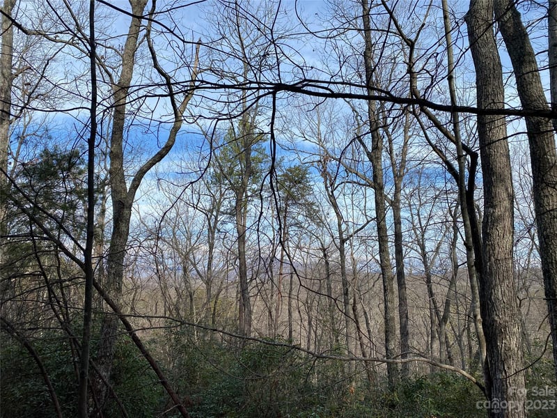 Birddog Blvd, Lake Lure, NC 28746