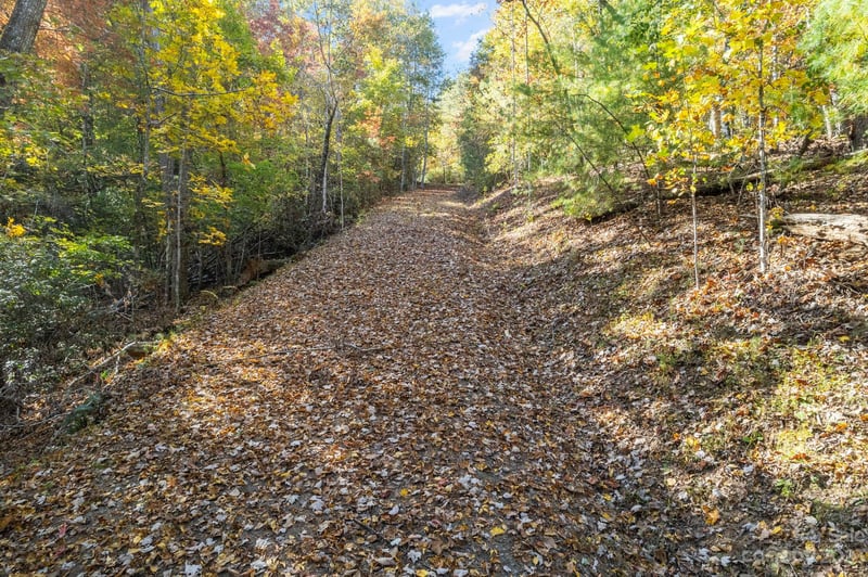 Birddog Blvd, Lake Lure, NC 28746