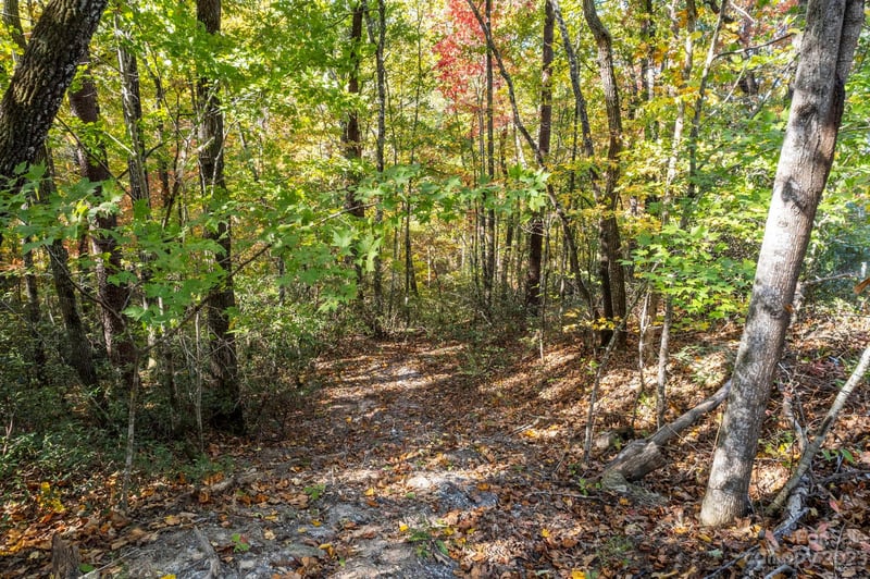 0 Birddog Blvd, Lake Lure, NC 28746