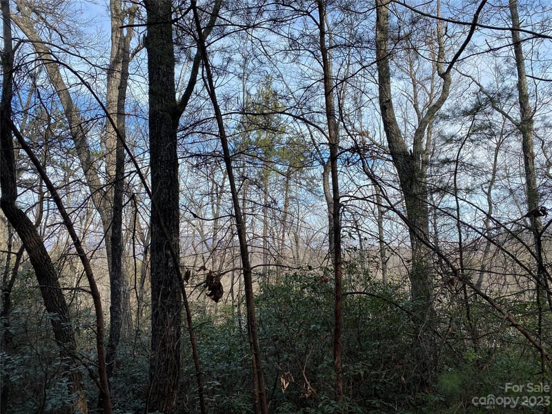 0 Birddog Blvd, Lake Lure, NC 28746