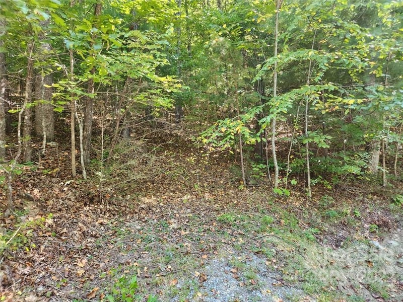 23 Overlook Park Dr #48, Hendersonville, NC 28792