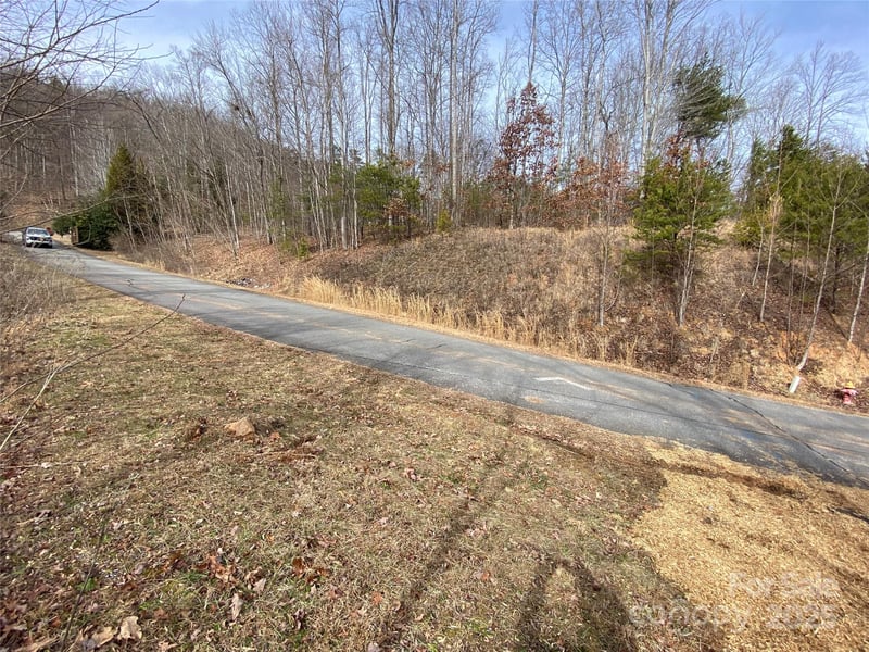 46 Holmstead Dr #46, Lake Lure, NC 28746