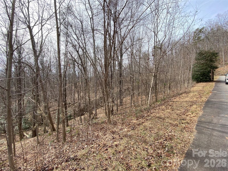 46 Holmstead Dr #46, Lake Lure, NC 28746