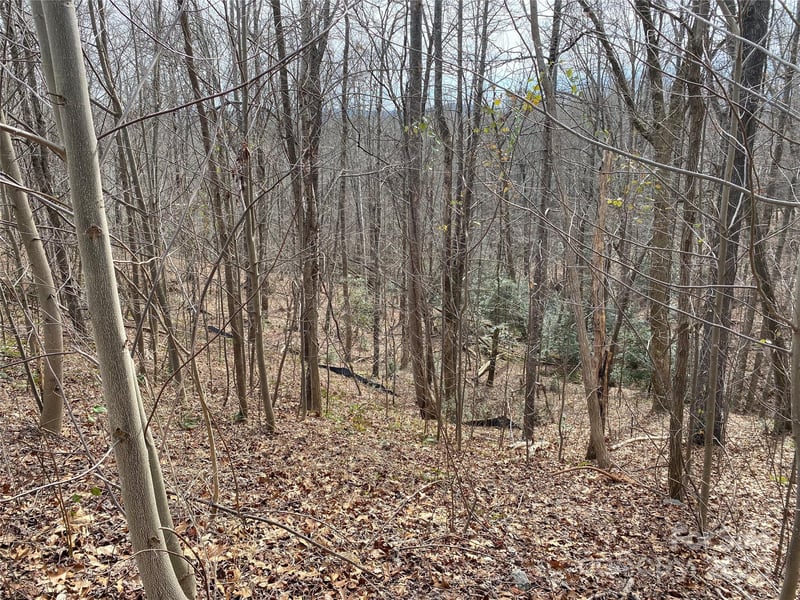 46 Holmstead Dr #46, Lake Lure, NC 28746