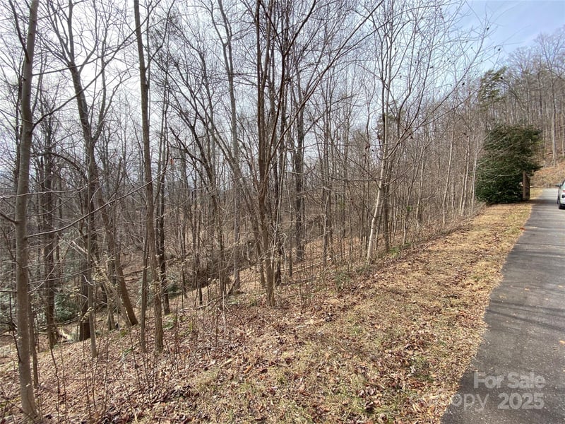 46 Holmstead Dr #46, Lake Lure, NC 28746