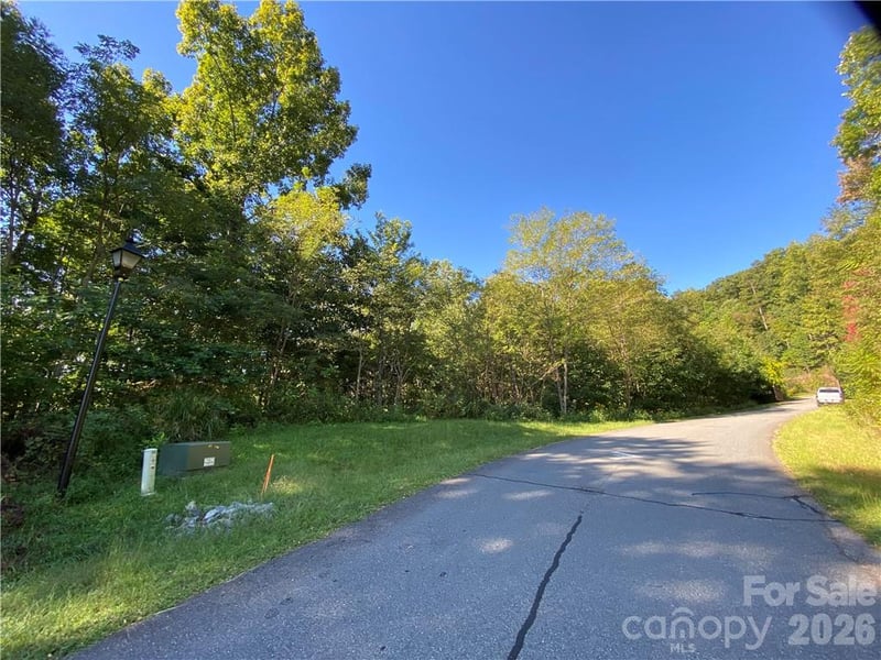 46 Holmstead Dr #46, Lake Lure, NC 28746