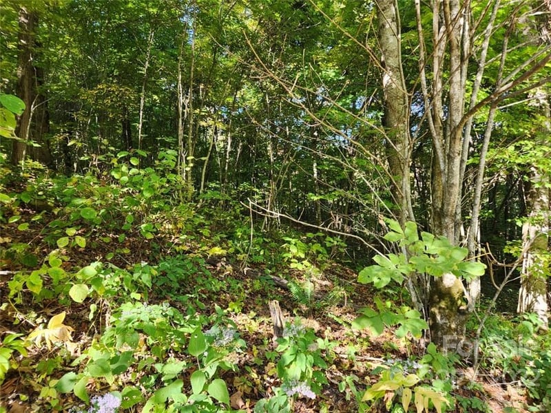 00 Staymon Rd #229, Waynesville, NC 28786