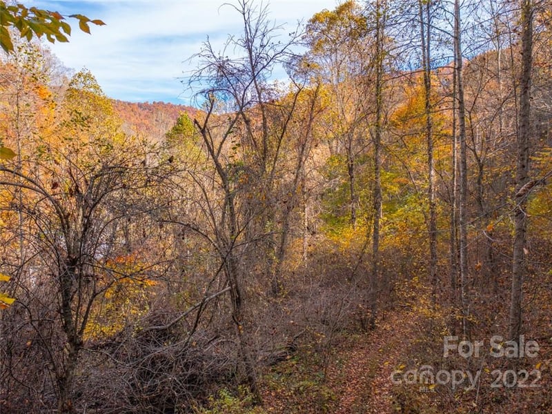 000 Drake Cove Rd, Mars Hill, NC 28754
